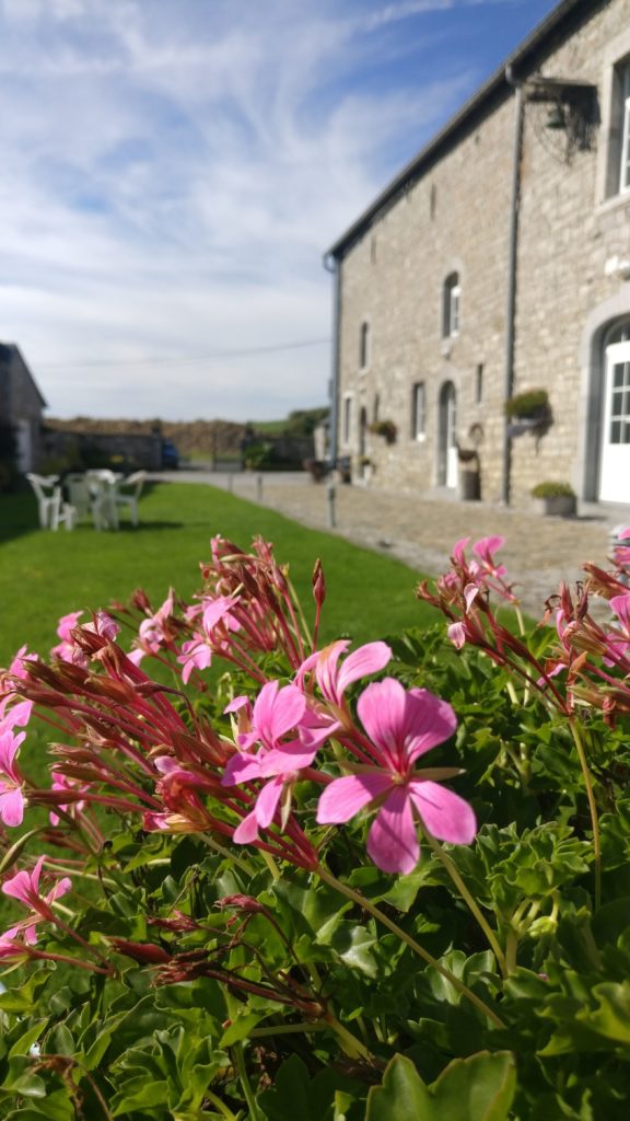 gîtes ruraux mettet