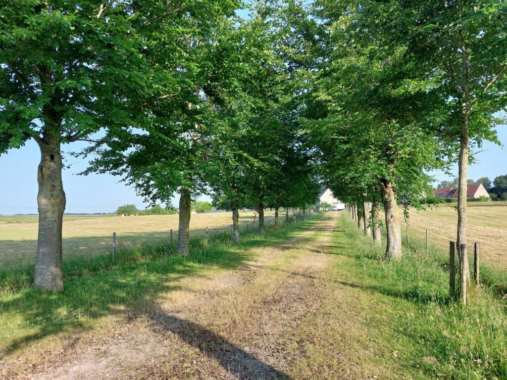 Entrée principale Ferme de Toijolle Mettet Wallonie