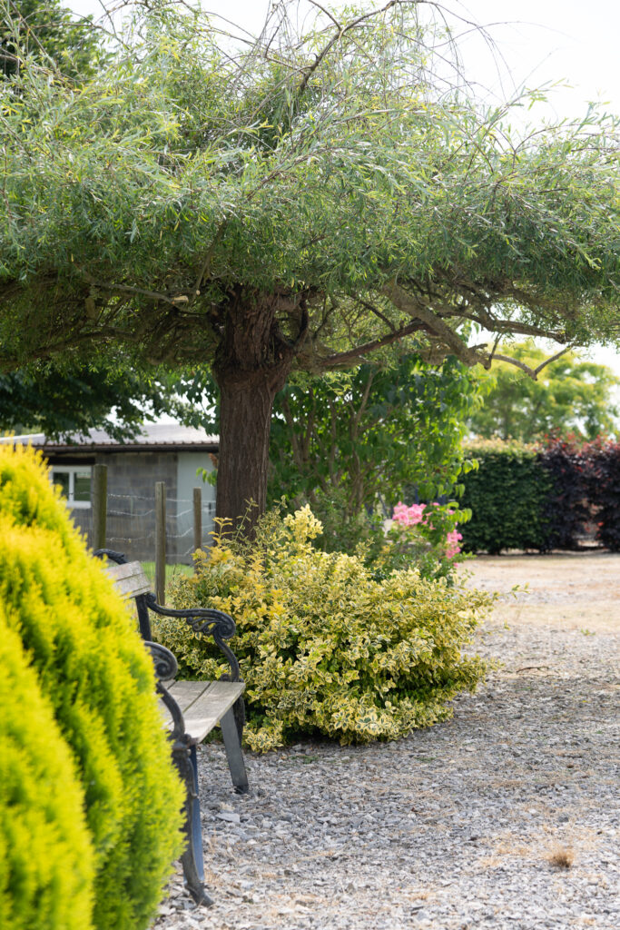 Ferme de Toijolle - Gîtes ruraux Mettet Wallonie